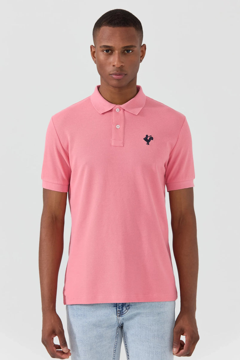 Frank polo shirt sales
