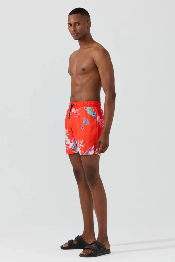 Varden: Short de Bain à Imprimé Sous La Mer, Séchage Rapide - Marco Frank